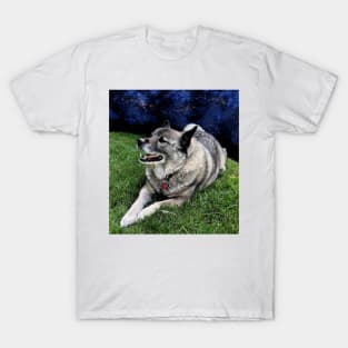 Elkhound at the Edge of the World T-Shirt